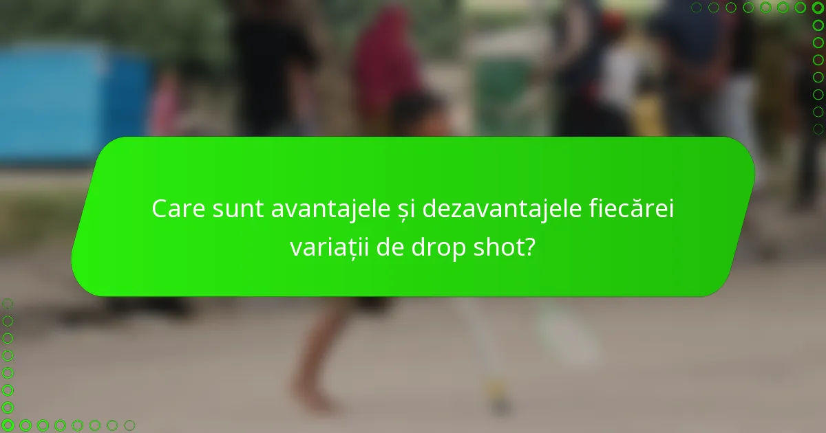 Care sunt avantajele și dezavantajele fiecărei variații de drop shot?