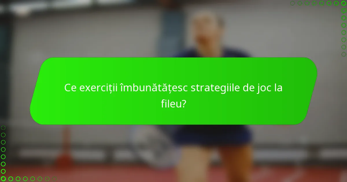 Ce exerciții îmbunătățesc strategiile de joc la fileu?